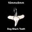Summer Accessories Dog Shark Teeth Pendant SMRAC5002P Summer Beach Wear Accessories Bone Pendants