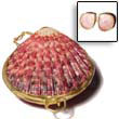 Summer Accessories Piktin Shell Coin Purse - SMRAC005CP Summer Beach Wear Accessories Coin Purse