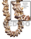 Summer Accessories Nassa Tiger Shell Sidedrill SMRAC041SPS Summer Beach Wear Accessories Shell Beads