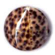 Summer Accessories Round Tiger Cowrie 40mm SMRAC5077P Summer Beach Wear Accessories Shell Pendants