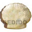Summer Accessories Capiz Clam Shaped Plate 8x8 SMRAC011GD Summer Beach Wear Accessories Summer Gifts Giveaways