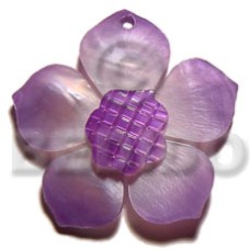 Graduated lavender 30mm hammershell flower