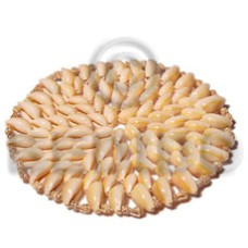 Sigay nassa tiger oval