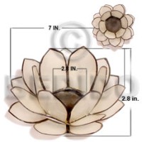 Natural capiz natural white lotus