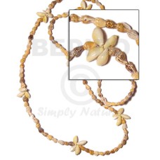 Sigay flower- tiger nassa Sigay flower- tiger nassa