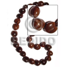 Brown lumbang seeds kukui Brown lumbang seeds kukui