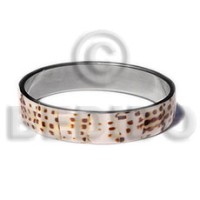Laminated cowrie shell in