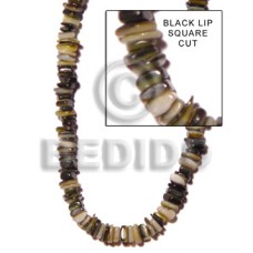 Black lip square cut Black lip square cut