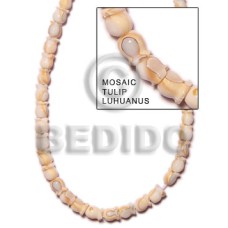 Mosaic tulip luhuanus Mosaic tulip luhuanus