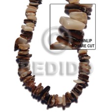 Brownlip square cut Brownlip square cut