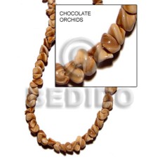 Chocolate orchids shell Chocolate orchids shell