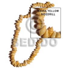 Nassa yellow side drill Nassa yellow side drill