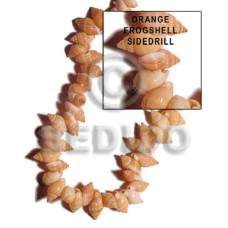 Orange frog shell sidedrill Orange frog shell sidedrill