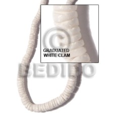 Graduated white clam Graduated white clam