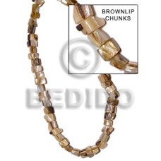 Brown lip peanut chunks Brown lip peanut chunks