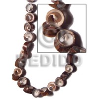 Brown vertagus wheel