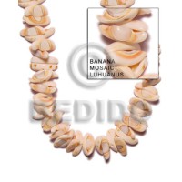 Banana mosaic - liswe