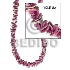 Violet lily Violet lily