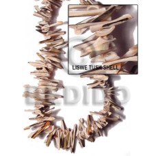 Liswe tusk shell Liswe tusk shell
