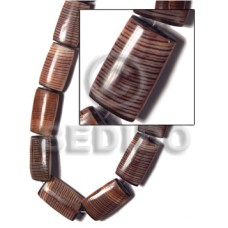 28mmx16mmx7mm conus pegulinus chiclet back 28mmx16mmx7mm conus pegulinus chiclet back