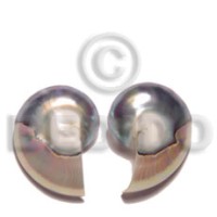 Nautilus earrings