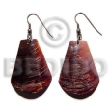 Dangling brown shell 35mm