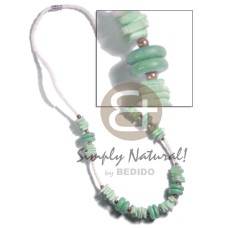 White rose in pastel green White rose in pastel green