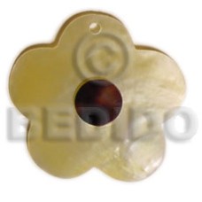 Scallop mop flower cowrie Scallop mop flower cowrie