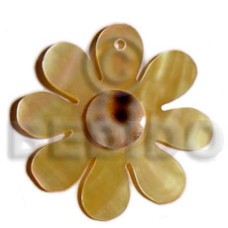 Mop flower cowrie shell Mop flower cowrie shell