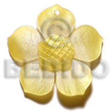 Graduated yellow 30mm hammershell flower