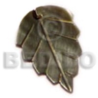 25mmx14mm blacklip leaf