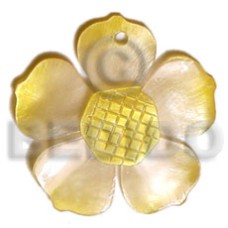 Graduated yellow 25mm hammershell flower Graduated yellow 25mm hammershell flower