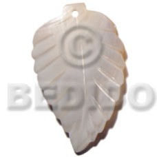 50mmx35mm kabibe shell leaf 50mmx35mm kabibe shell leaf