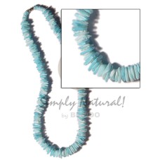 White rose aqua blue White rose aqua blue