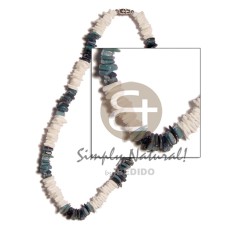 White rose blue hammershell White rose blue hammershell